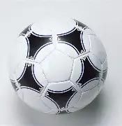 尘埃落定揭,双色球,喜中大奖,浙江体彩,浙江体彩网,浙江体彩网官网,体育彩票,体彩大乐透,竞彩足球,体彩公益