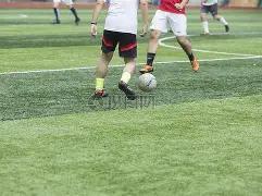 乱世佳人风,云录,揭秘,浙江体彩,浙江体彩网,浙江体彩网官网,体育彩票,体彩大乐透,竞彩足球,体彩公益