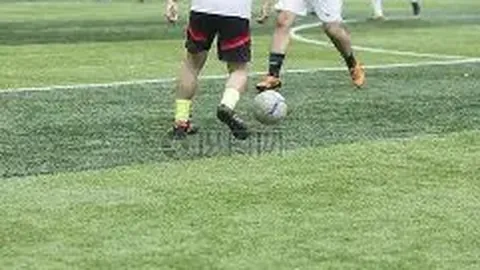 【彩运亨通】大乐透第25146期号码揭秘，复式7+3独家攻略，共赴中奖盛宴！