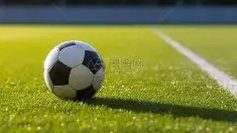 浙江体彩网 资讯 091314 bi6